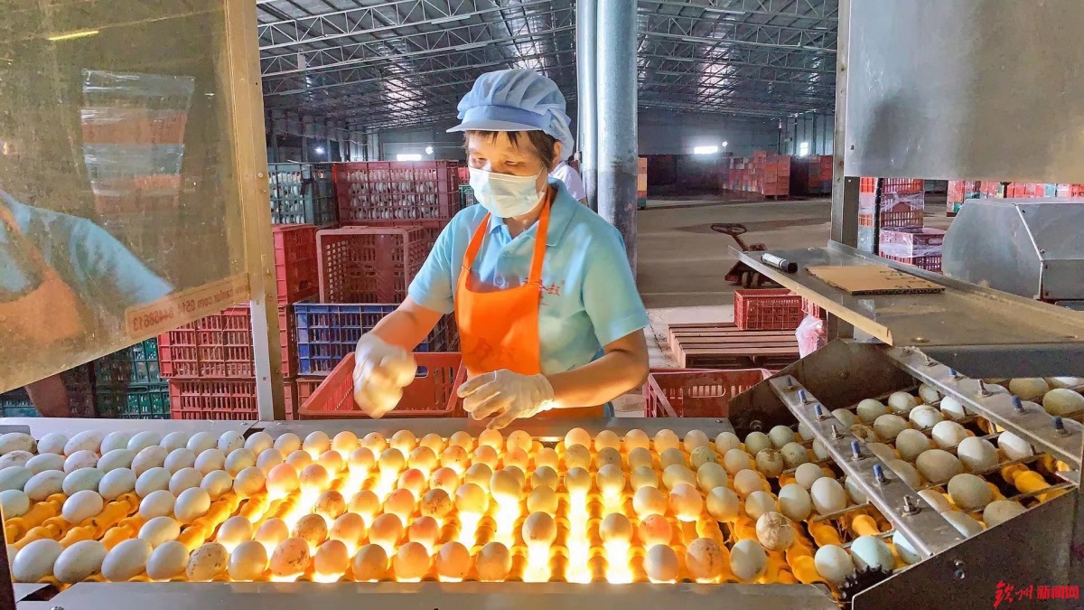 網(wǎng)眼看欽州|誠(chéng)信食品企業(yè)開放日 &ldquo;零距離&rdquo;感受放心食品